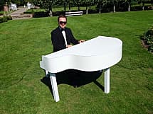 Bollywood Pianist & Piano Shell
