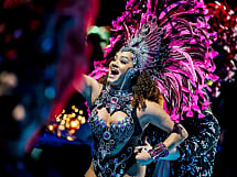 Samba Tropical Brasil