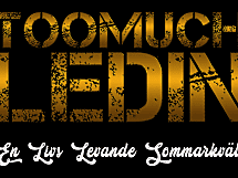 TooMuch Ledin