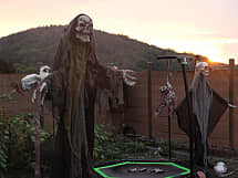 Jumping Halloween
