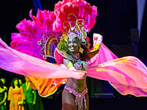 Brasil Dance Show ***