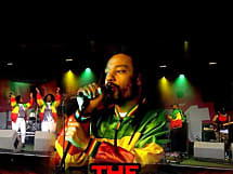 THE MARLEY EXPERIENCE