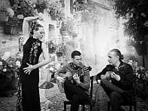 Flamenco Duo "Gota de Fuego