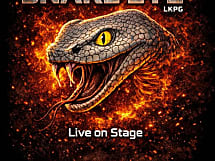 Snake Eye