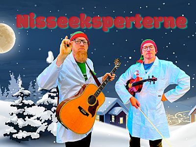 NISSEEKSPERTERNE