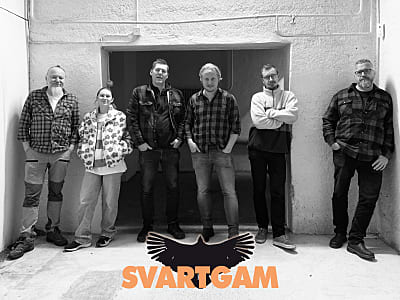 Svartgam