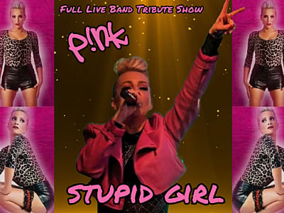 Stupid Girl - Pink Tribute