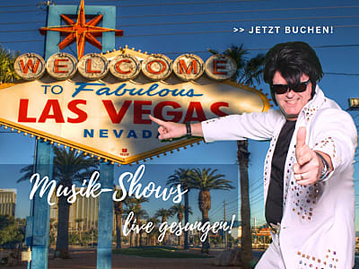 Elvis Double Imitator Show - Still alive!