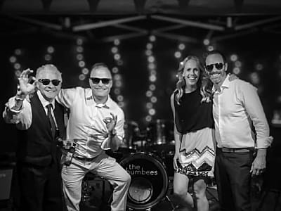 the humbees