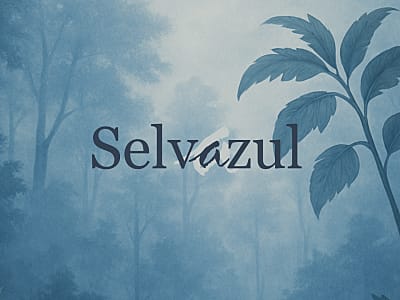Selvazul, Duo mit Gesang und Gitarre/Klavier