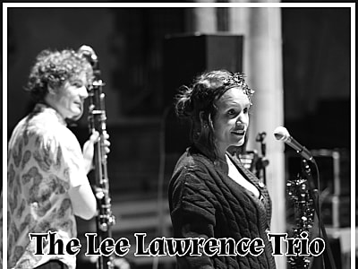 The Lee Lawrence Trio