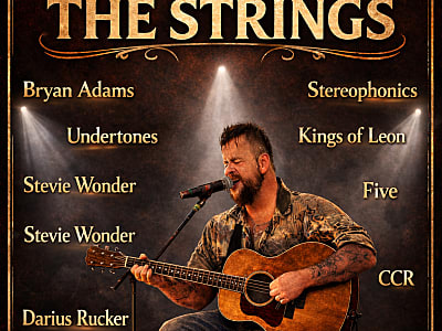 The Detail Is In The Strings