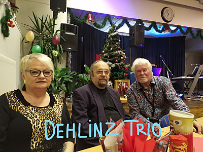 DEHLINZ TRIO
