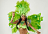 Viva Brasil Samba Dance: Samba Tänzer aus Zürich