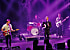 LuxDeLight: Festband fra Greve