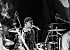 The Bleachers: Rockband från Malmö