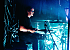 BeMUSEd: Tribute Band from Warwick