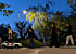 firewood: Rock Band from Hook