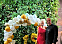 Live-Musik Hochzeit & Events | VladiRudi: Duo aus Bremgarten AG