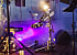 Yann&Band: Liveband från Sundsvall