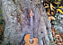 VazkVill: Guitarrista de Lugo