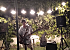 Antz: Singing Guitarist from London