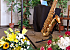 Saxophon-Variationen Jens Lässig: Saxophonist aus Chemnitz