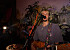 Aaron McBride: Singing Guitarist from Navan