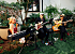 Maddy Rose Jazz Trio: Jazzband aus Wien