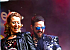 Kingdom of Toto: Tributeband van Leiden