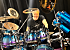 Kingdom of Toto: Tributeband van Leiden