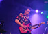Kingdom of Toto: Tributeband van Leiden