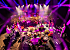 Hot Leggs – Tina Turner Tribute: Tributeband van Almere
