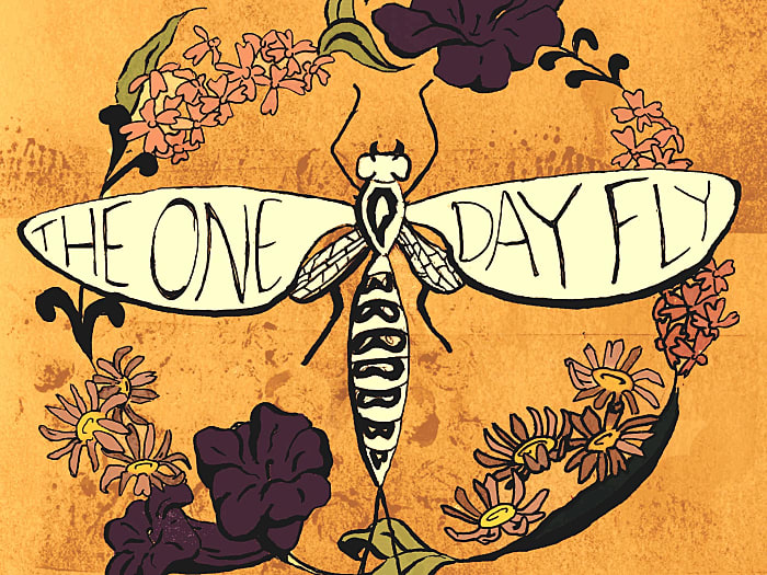 The One Day Fly