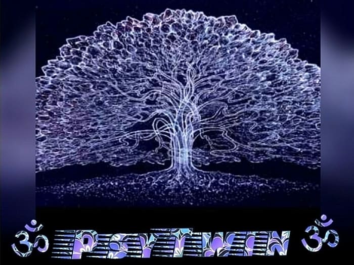 ॐPsyTwinॐ