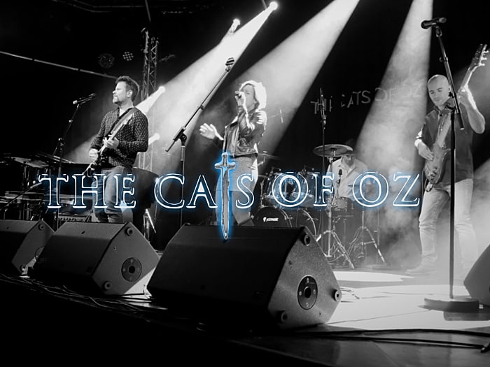 The Cats of Oz