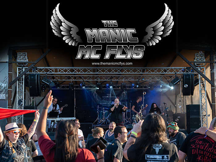 The Manic McFlys