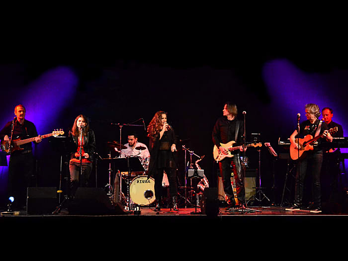 14 Karat Partyband