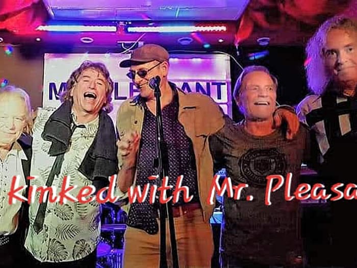 Mr. Pleasant - The Kinks Tribute