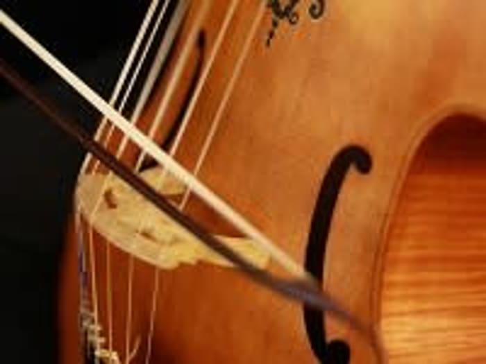 Viola da gamba