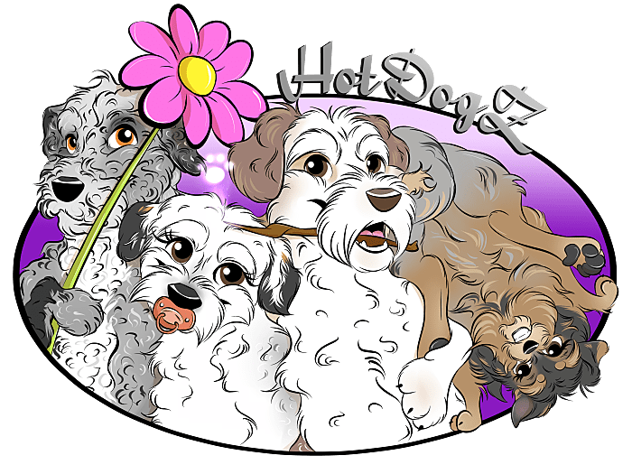 Die HotDogZ