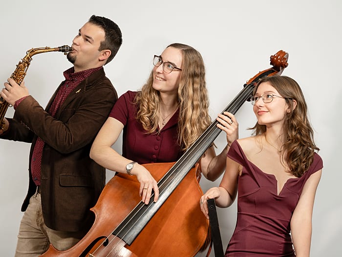 Hochzeitsband The Trio with 3 people - Firmenfeier, Gartenparty, Privatfeier Livemusik