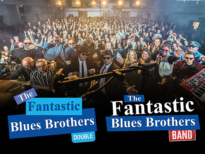 The Fantastic Blues Brothers (Double & Band)
