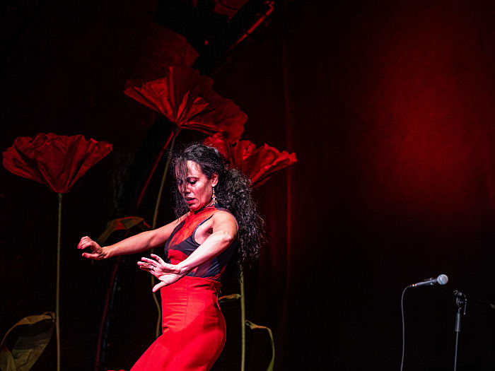 Jardin Flotando - Die Flamencobande