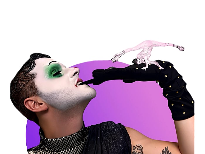 Jester Boy