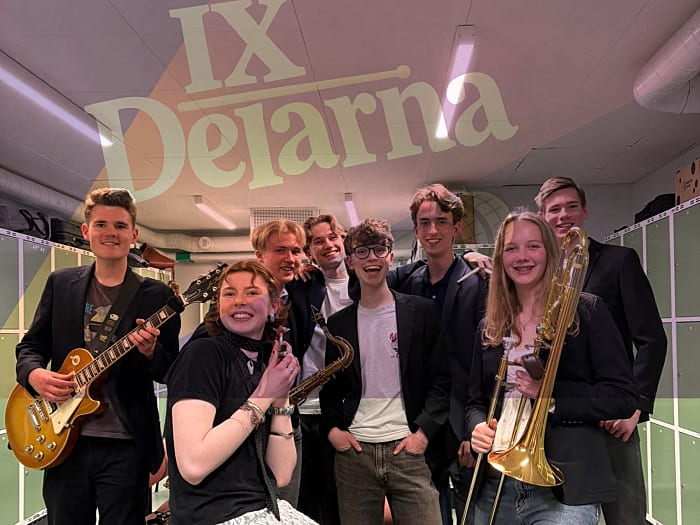 IX-Delarna