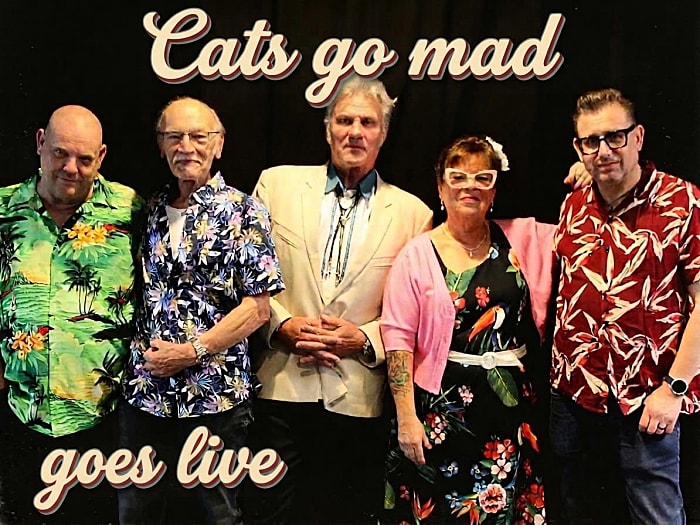Cats Go mad
