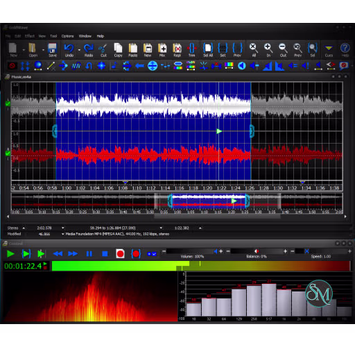 GoldWave v7.04