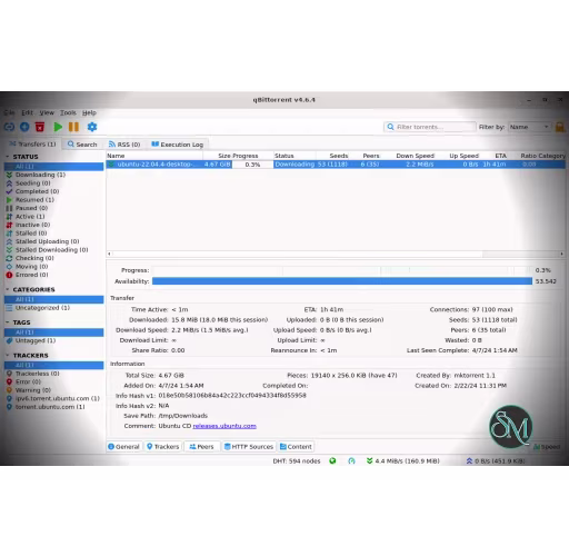qBittorrent v5.2.2