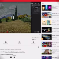 NewPipe v0.29.1